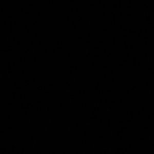 Meet your Posher, Joachim